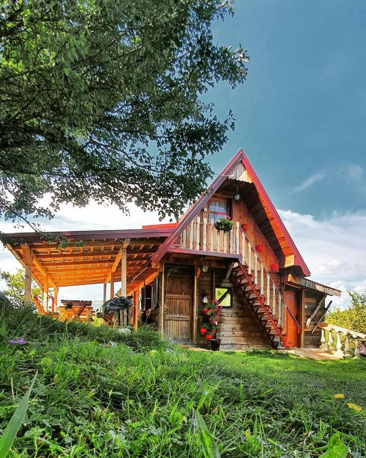 Log Cabin Uvac Nova Varoš Dış mekan fotoğraf