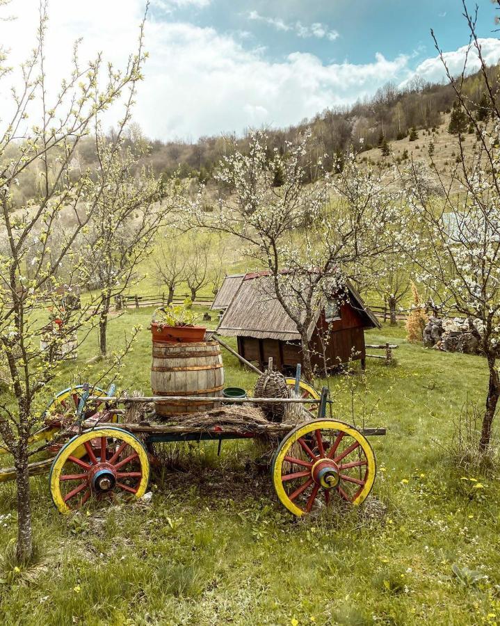 Log Cabin Uvac Nova Varoš Oda fotoğraf
