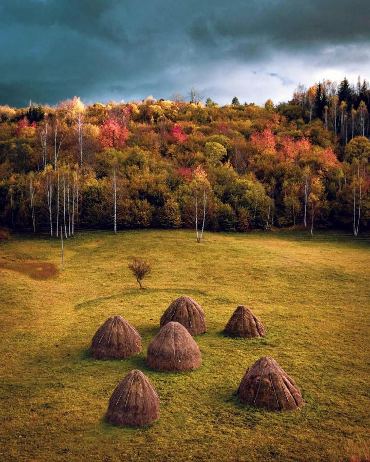Log Cabin Uvac Nova Varoš Dış mekan fotoğraf