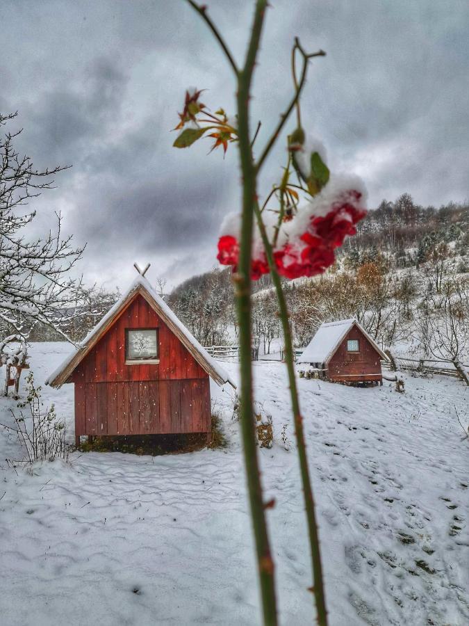 Log Cabin Uvac Nova Varoš Dış mekan fotoğraf