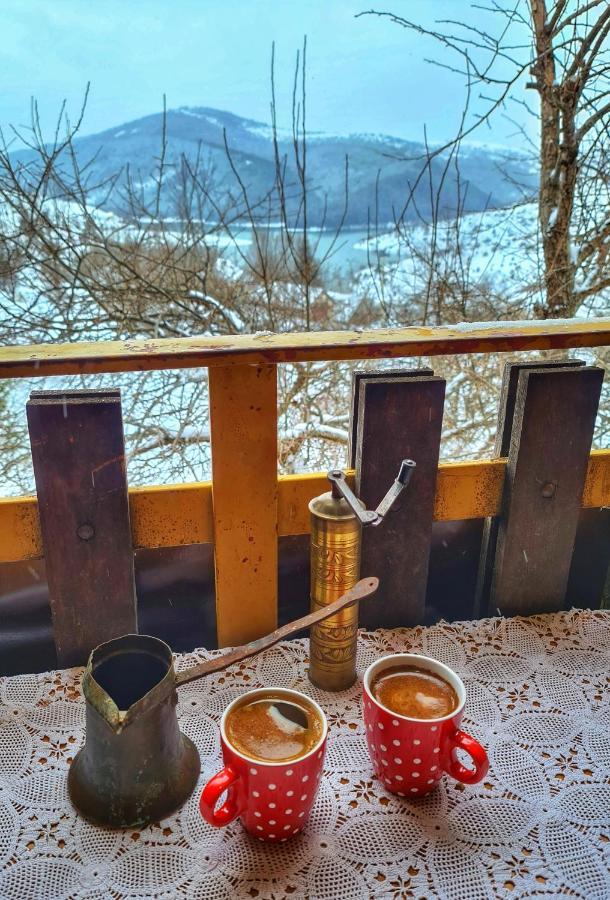 Log Cabin Uvac Nova Varoš Dış mekan fotoğraf
