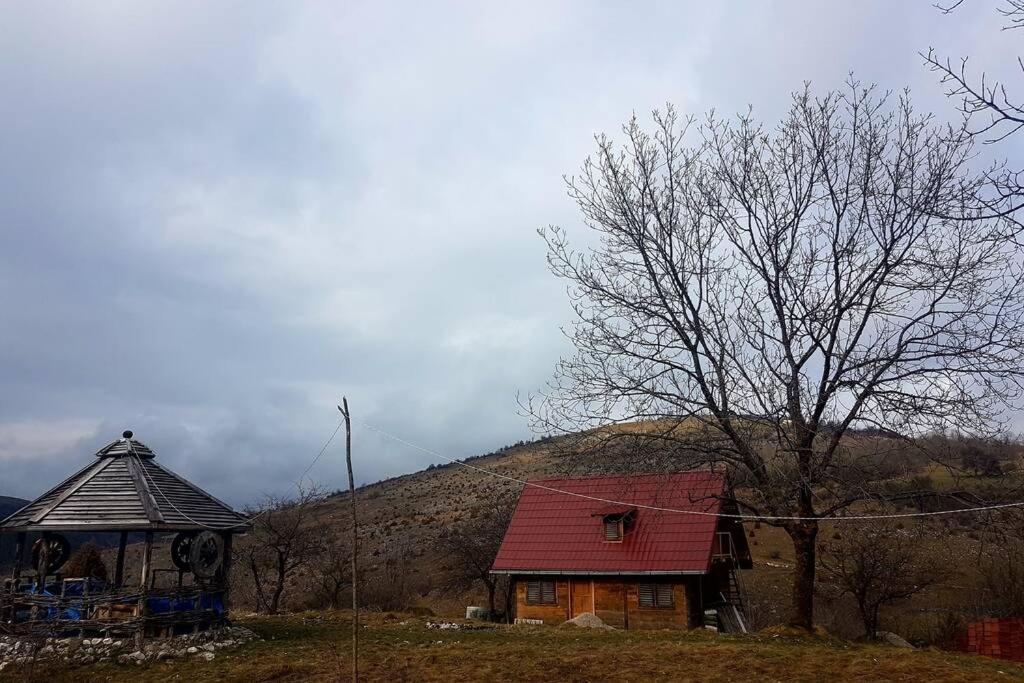 Log Cabin Uvac Nova Varoš Dış mekan fotoğraf