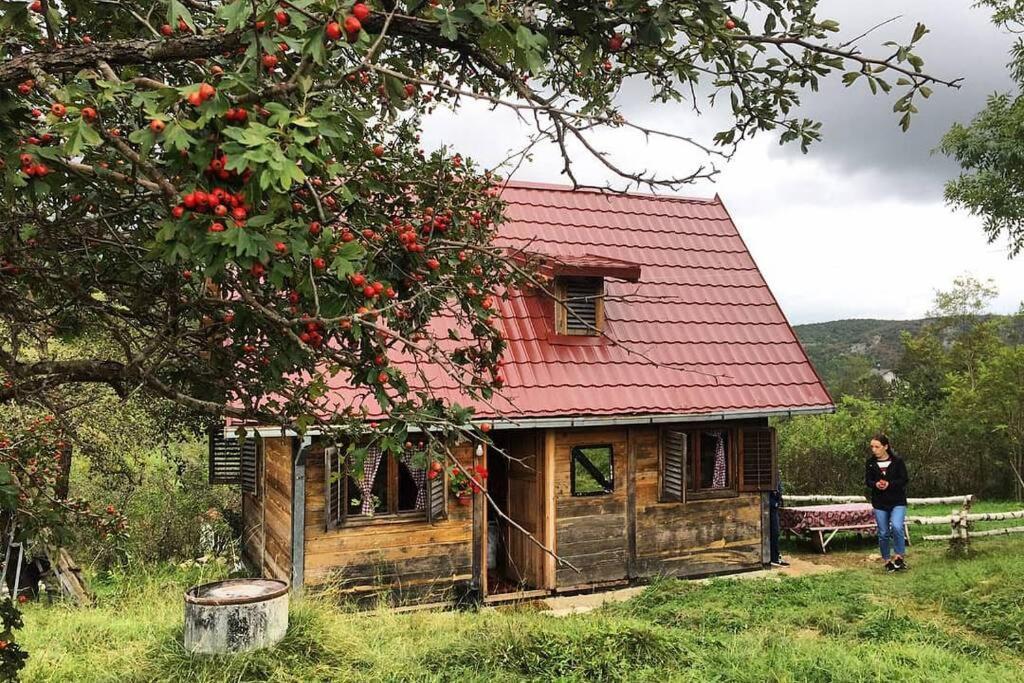 Log Cabin Uvac Nova Varoš Dış mekan fotoğraf